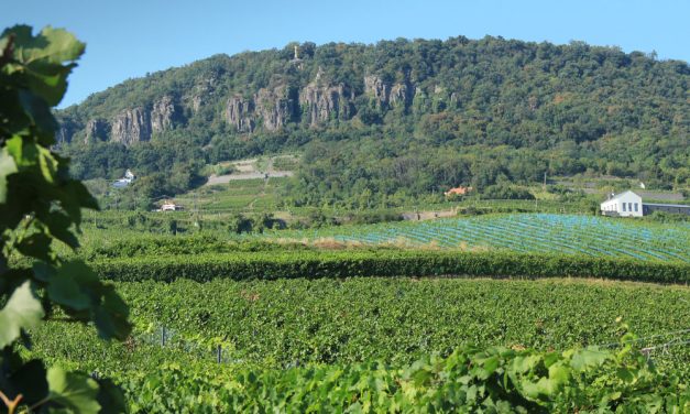 Drámai szakadék a borvidékek ingatlanpiacán: A Balatonfüred-Csopaki térségben 1,1 millió felett, Tokajban 250 ezer alatt van a négyzetméterár