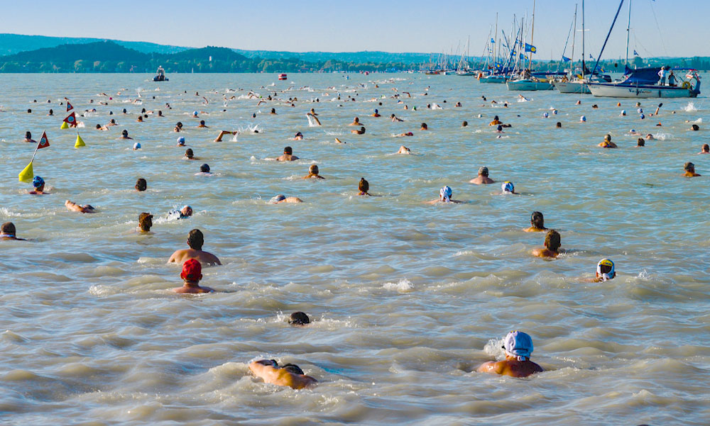 Balaton-átúszás: Alig volt ilyen a verseny történelmében, tökéletes körülmények között úszhattak a versenyzők