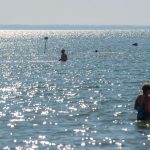 Újabb tragédia a Balatonnál: egy 78 éves férfi fulladt bele a vízbe Siófokon