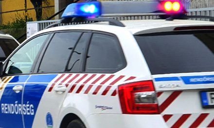 Feltörték a lezárt, felhevült kocsit, kimentették a kétéves gyereket a balatonföldvári rendőrök