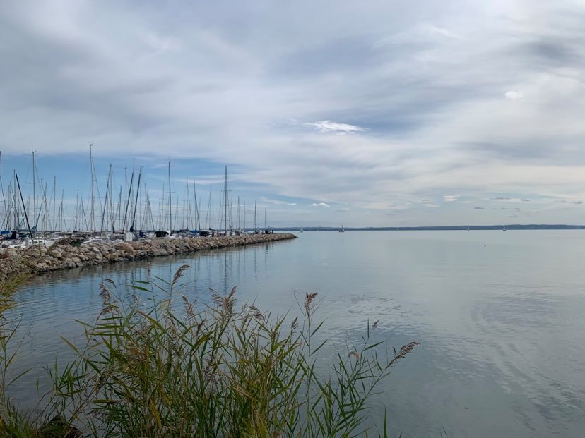 “Jelenleg több száz szúnyogtenyésző hely van a térképünkön” – Megkezdték a szúnyoggyérítést a Balaton-parton