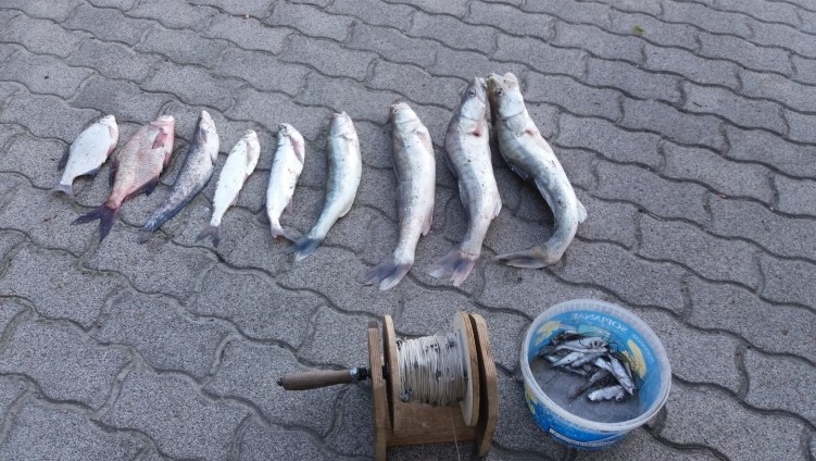 Nemzeti kincsünket fosztogatta egy orvhalász a Balatonnál, félmilliós büntetést is kaphat