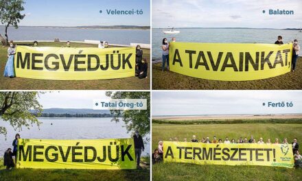 Udvaros Dorottya és Für Anikó is kiállnak a Balaton és a nagy tavak védelméért