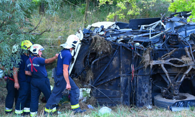 „A határ után láttuk meg, hogy az árokban az a busz van” – megszólalt az M7-esen történt buszbaleset szemtanúja, Horvátországból jöttek haza a turisták, a sofőr is meghalt