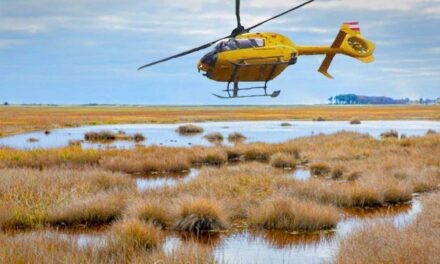 Bravúros életmentés a mocsárból – mentőhelikopterrel emelték ki a fagyos sárba süllyedt férfit – VIDEÓ