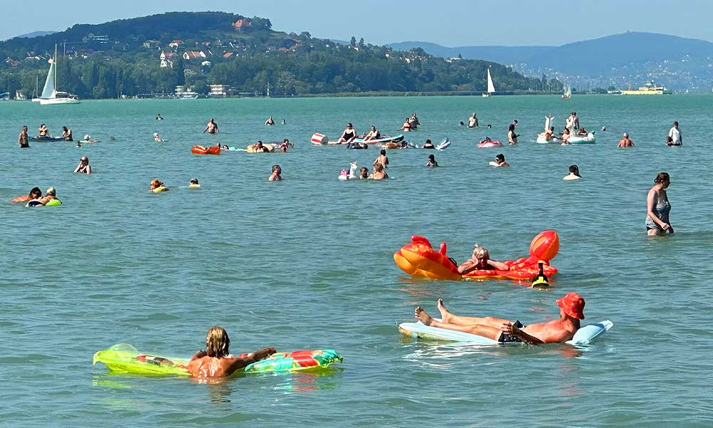 Nem kell félni a Balaton alacsony vízállásától, viszont sokkal kevesebb hal kellene a tóba – állítják az ELTE kutatói