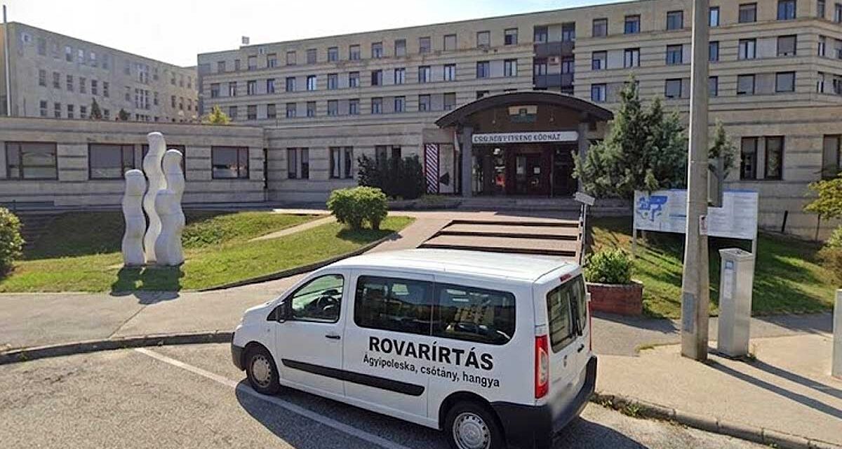 Ezt hagyta ránk az Orbán-kormány: ágyi poloskák miatt lezárták a veszprémi kórház gyermekágyas részlegét, 3-4 hét múlva végezhetnek a teljes fertőtlenítéssel