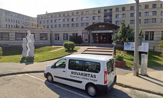Ezt hagyta ránk az Orbán-kormány: ágyi poloskák miatt lezárták a veszprémi kórház gyermekágyas részlegét, 3-4 hét múlva végezhetnek a teljes fertőtlenítéssel