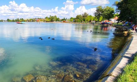 Egészségügyi kockázatot okozhatnak a Balatonban elszaporodó kékalgák, már tudják mi okozza a bajt