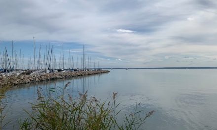 “Elsőrendű feladat lesz a Balaton élővilágára ható beavatkozás kontrollálása” – így óvja a tó élővilágát az újonnan kinevezett miniszteri biztos