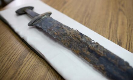 Különleges kard került elő a földből Zalában, a Balatoni Múzeum nyugalmazott igazgatója kulcsszerepet kapott
