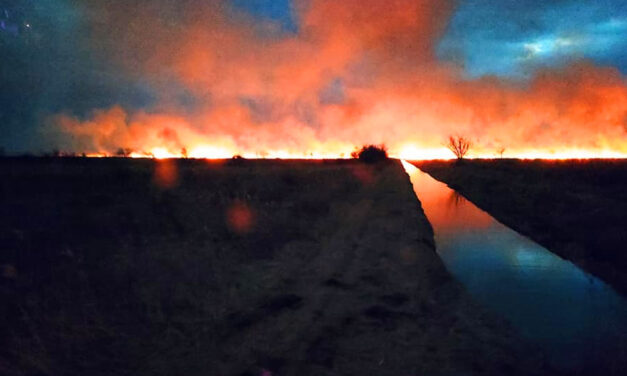 Apokaliptikus látvány volt az óriási nádastűz Fonyódnál, a drónfelvételeken látszik, honnét indultak a lángok