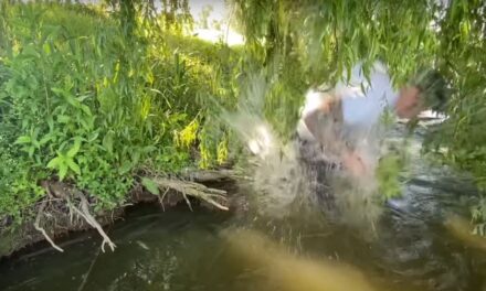 Hihetetlen: Óriásharcsa rántott a vízbe egy horgászt a Balaton közelében