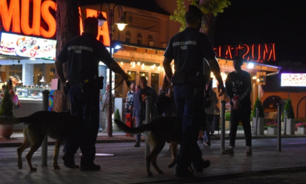 Átfogó razzia Siófokon, 606 embert igazoltattak a rendőrök pénteken este