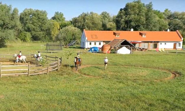 Megrúgta a ló a 8 éves kislányt a Balaton-felvidéki táborban, mentőhelikopterrel vitték kórházba a gyereket