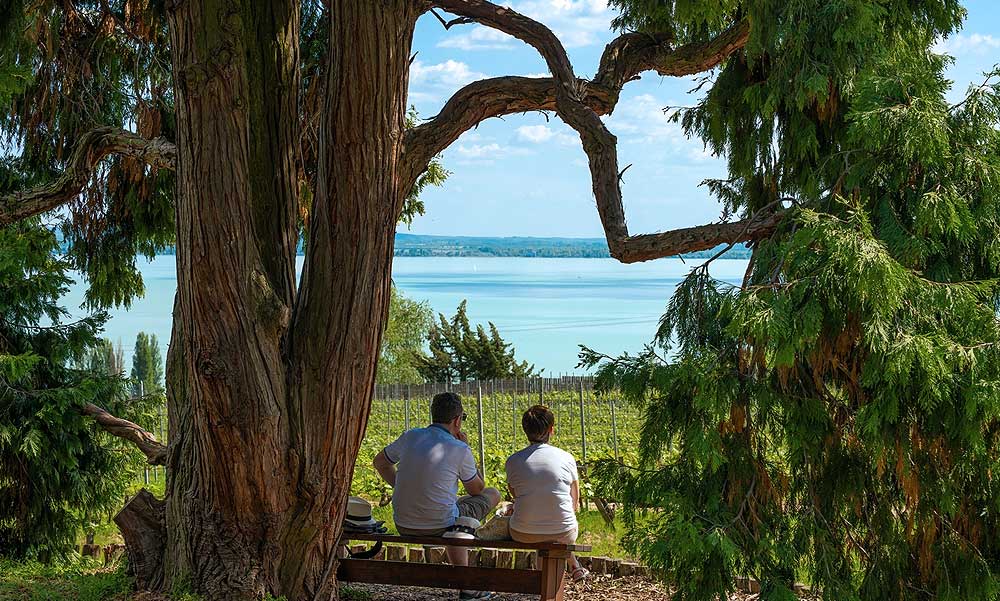 Különleges programokkal és garantált felfrissüléssel vár mindenkit a 120 éves Folly Arborétum Badacsonyörsön