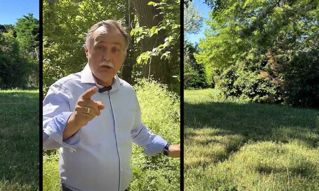 Itt a hétvégi fűnyírás ideje, azonban az új miniszter, Gajdos László azt kéri, hogy májusban ne vágjunk füvet, mit szólnak majd a vendégek és a szomszédok?