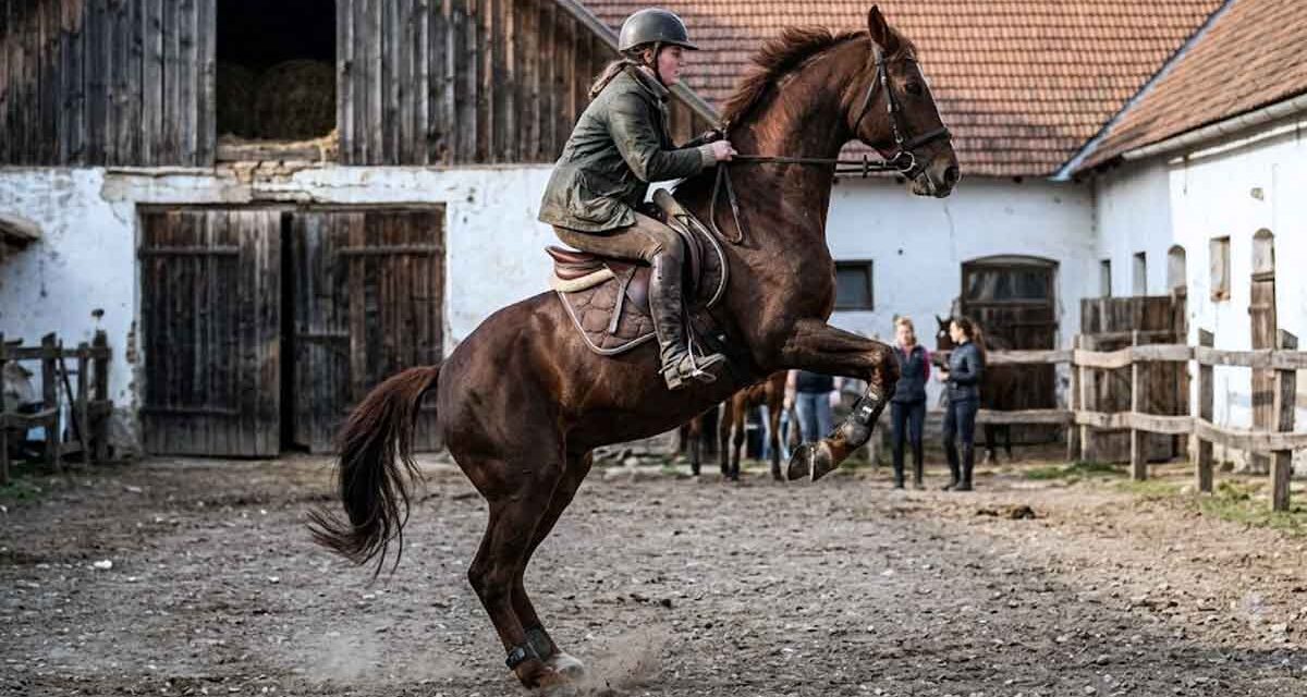 Dráma Somogysádon: saját lova dobta le magáról a 20 éves Vandát, a lány a kórházban meghalt