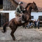 Dráma Somogysádon: saját lova dobta le magáról a 20 éves Vandát, a lány a kórházban meghalt